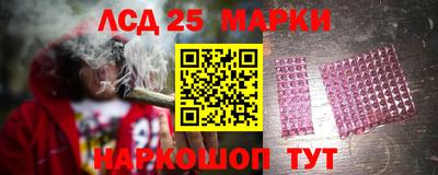 прущие грибы Сланцы