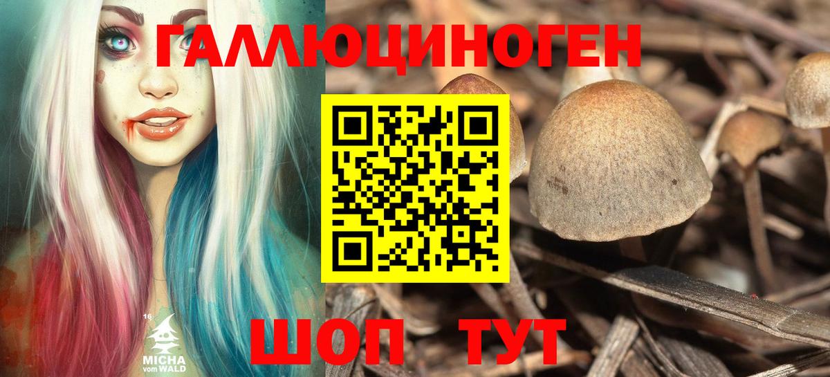 Псилоцибиновые грибы GOLDEN TEACHER  Псилоцибиновые грибы мухоморы  Вход с VPN  Орск 